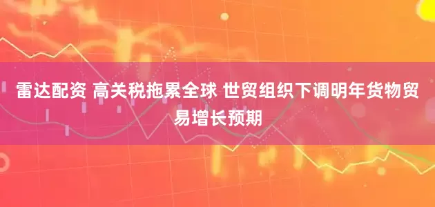 雷达配资 高关税拖累全球 世贸组织下调明年货物贸易增长预期