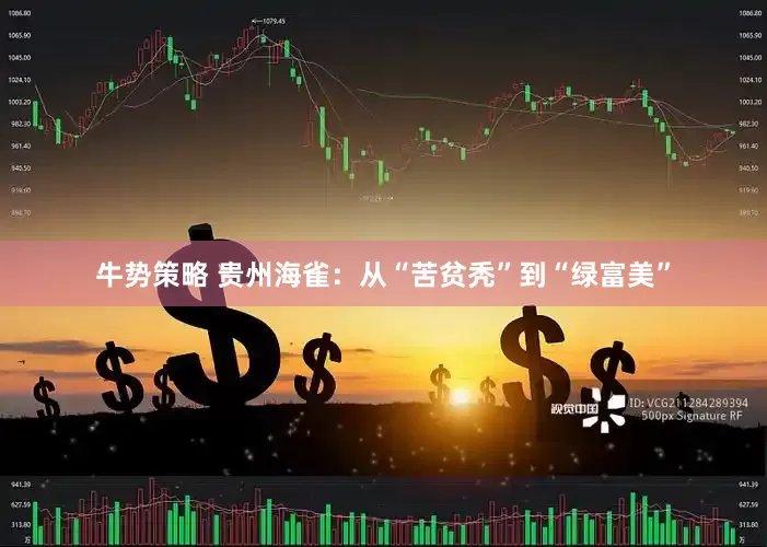 牛势策略 贵州海雀：从“苦贫秃”到“绿富美”