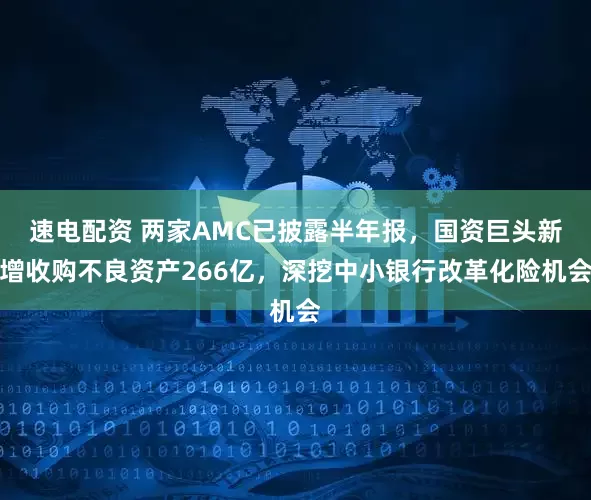 速电配资 两家AMC已披露半年报，国资巨头新增收购不良资产266亿，深挖中小银行改革化险机会
